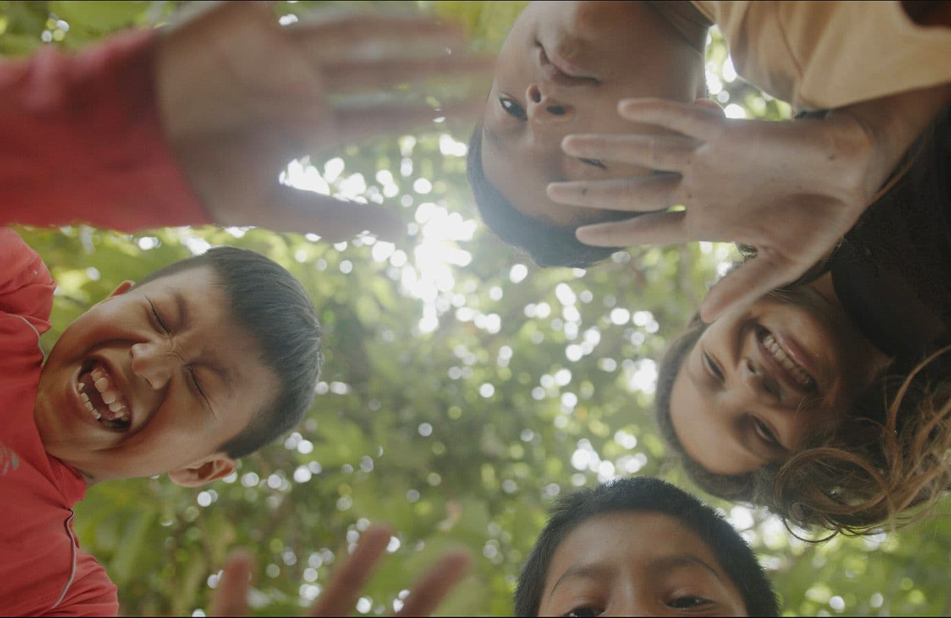 We Always Go All In For Nature